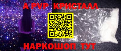 стаф Кингисепп