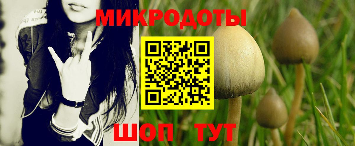 Краснодар  Галлюциногенные грибы Cubensis  Вход с VPN 