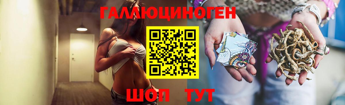 Галлюциногенные грибы Magic Shrooms Краснодар